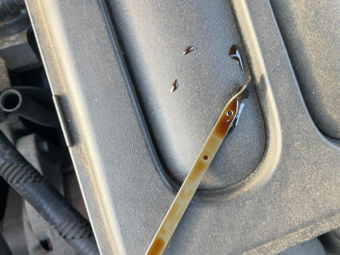 Photo '15' of Mazda Verisa Photo '15' of Mazda Verisa