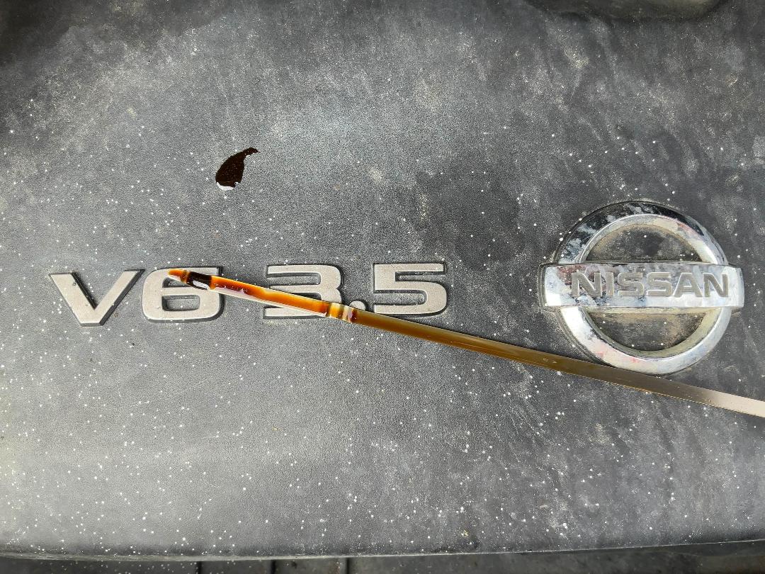 Photo '17' of Nissan Elgrand