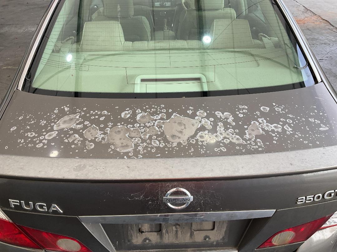 Photo '10' of Nissan Fuga