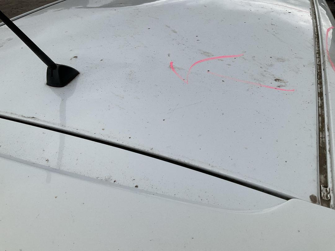 Photo '11' of Toyota Allex Photo '11' of Toyota Allex