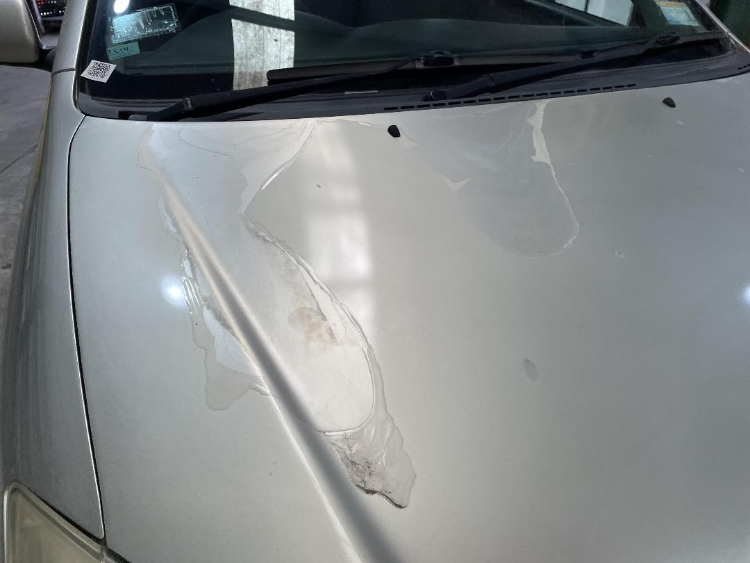 Photo '14' of Toyota Corolla GL Photo '14' of Toyota Corolla GL