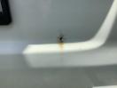 Thumbnail '30' of Toyota Hiace CAMPERVAN Motorhome Thumbnail '30' of Toyota Hiace CAMPERVAN Motorhome