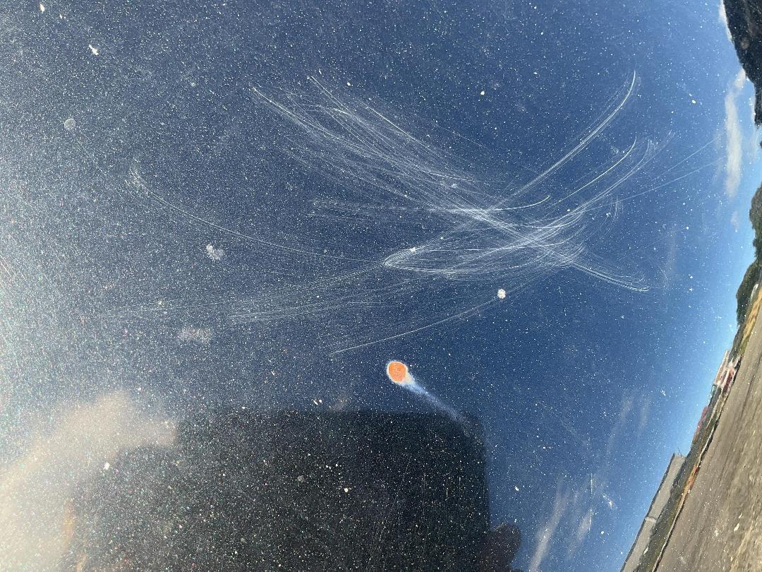 Photo '18' of Toyota IST Photo '18' of Toyota IST