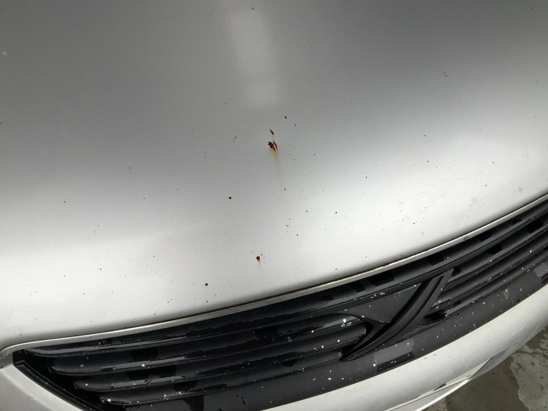 Photo '15' of Toyota Markx 250G Photo '15' of Toyota Markx 250G