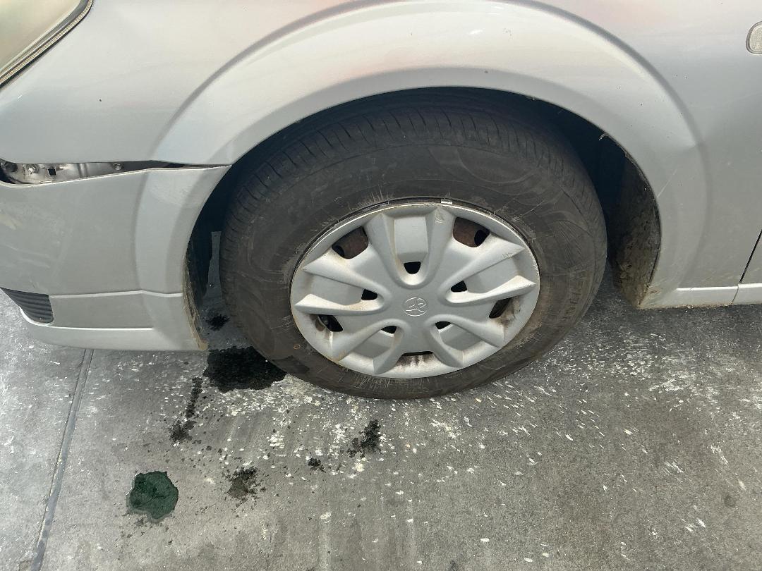 Photo '9' of Toyota OPA