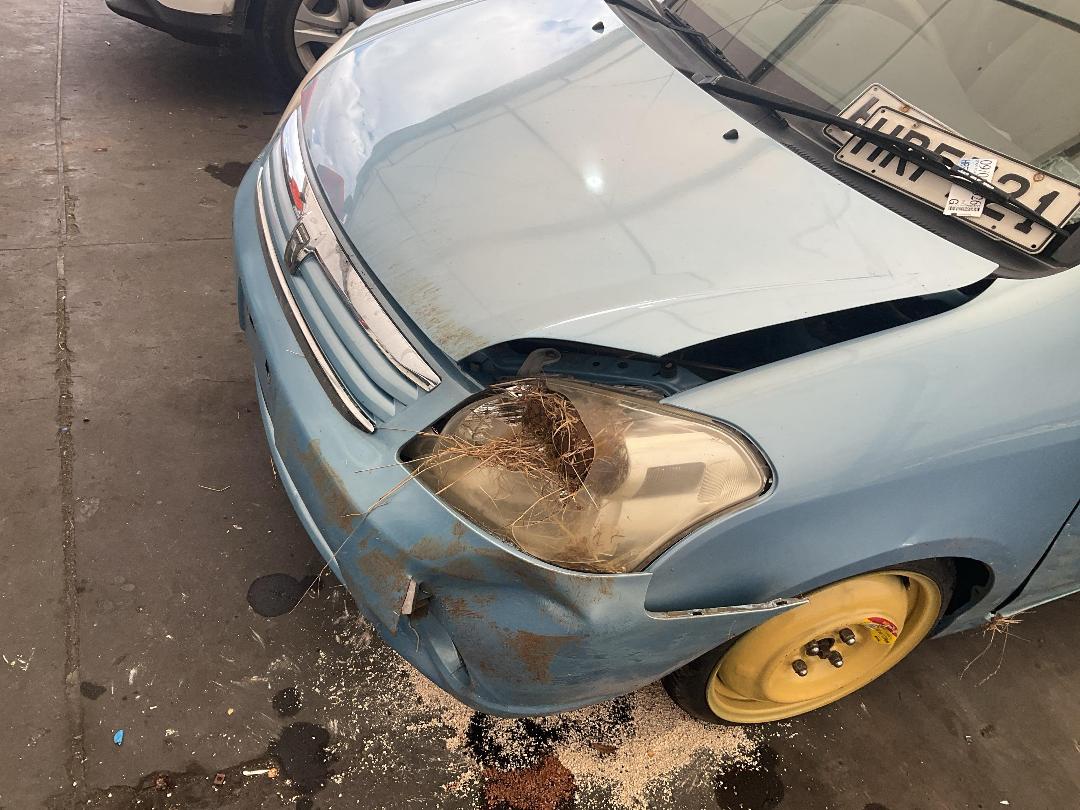 Photo '6' of Toyota Raum Photo '6' of Toyota Raum