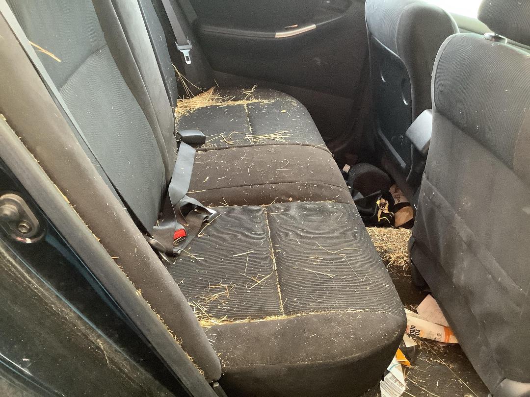 Photo '6' of Toyota Runx Photo '6' of Toyota Runx