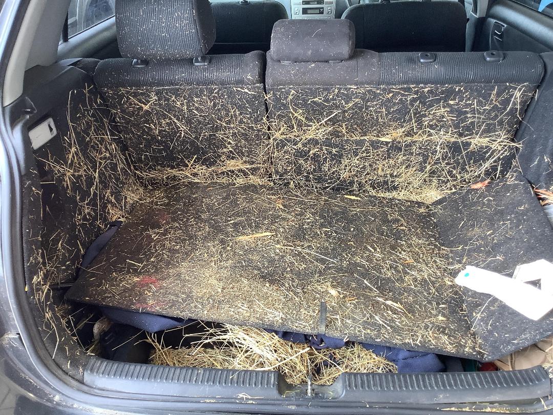 Photo '5' of Toyota Runx Photo '5' of Toyota Runx