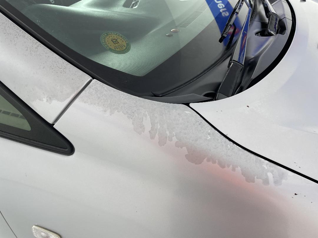 Photo '25' of Toyota Wish Photo '25' of Toyota Wish