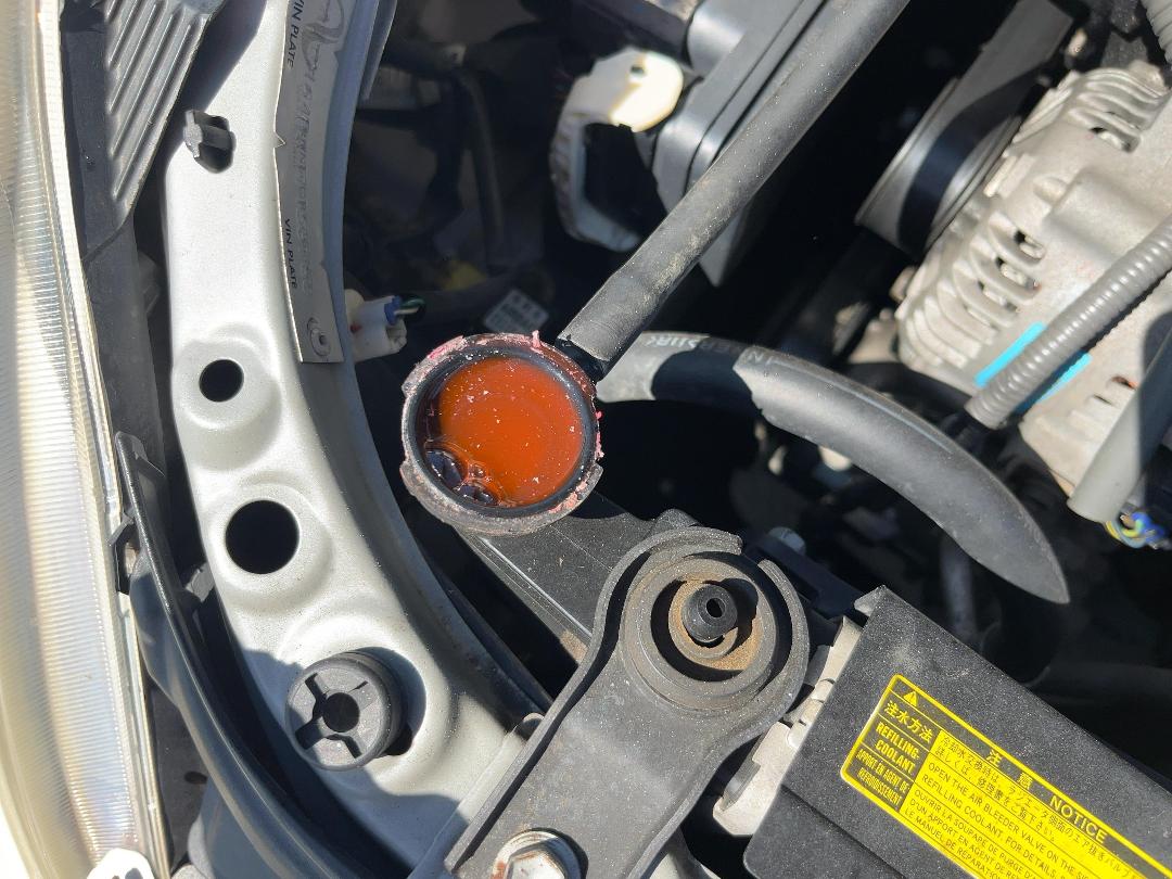 Photo '11' of Toyota Wish