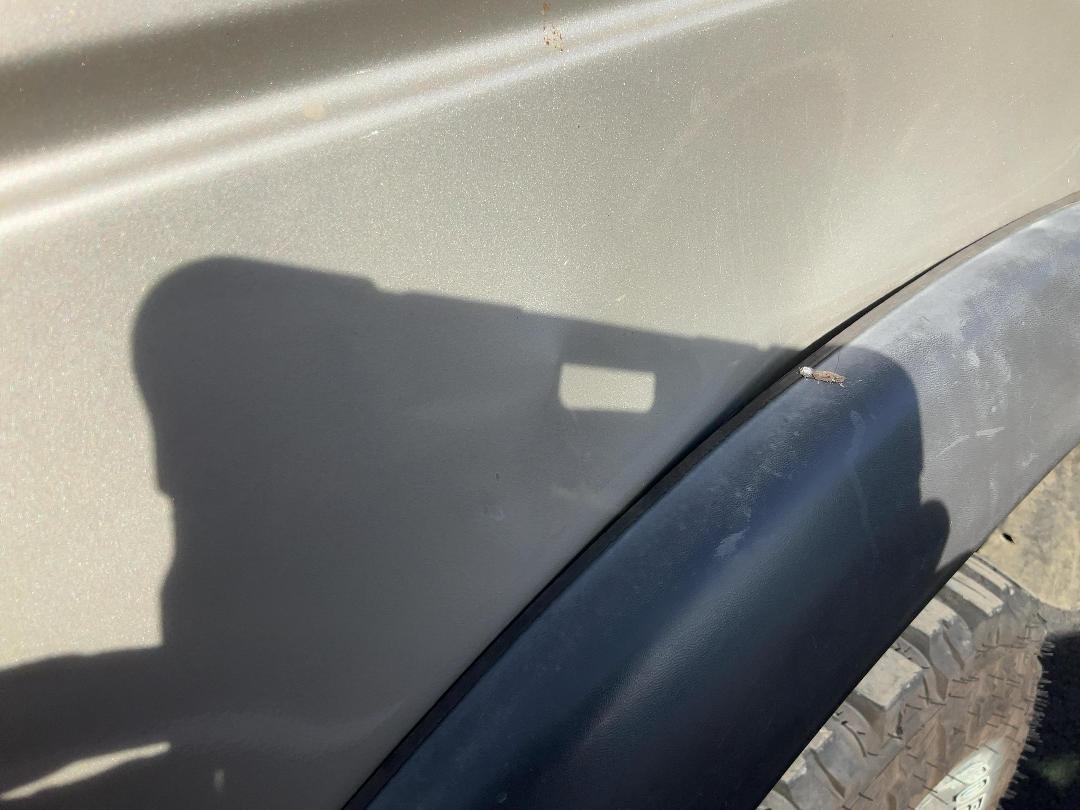 Photo '17' of Ford Courier TD XLX CR W/S