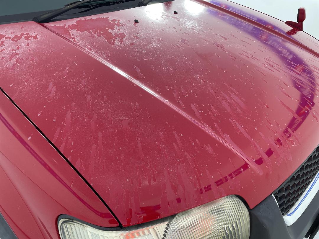 Photo '26' of Ford Escape