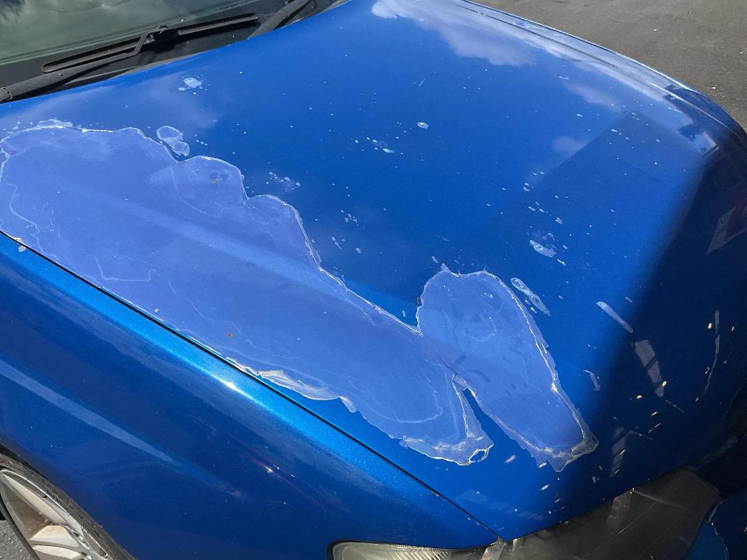 Photo '19' of Ford Falcon BA XR6