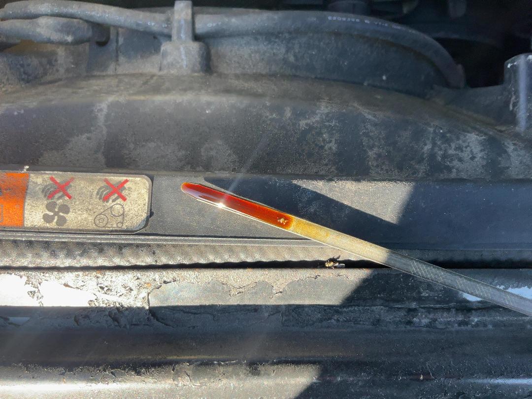 Photo '10' of Ford Falcon BA XR6