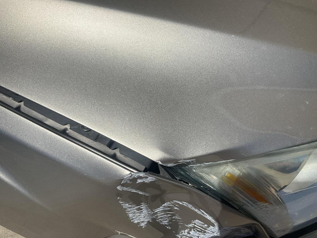 Photo '15' of Ford Focus