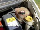Thumbnail '31' of Ford Transit 330 SWB TD Motorhome Thumbnail '31' of Ford Transit 330 SWB TD Motorhome