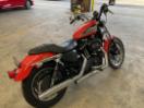 Thumbnail '3' of Harley Davidson Sportster XL883R
