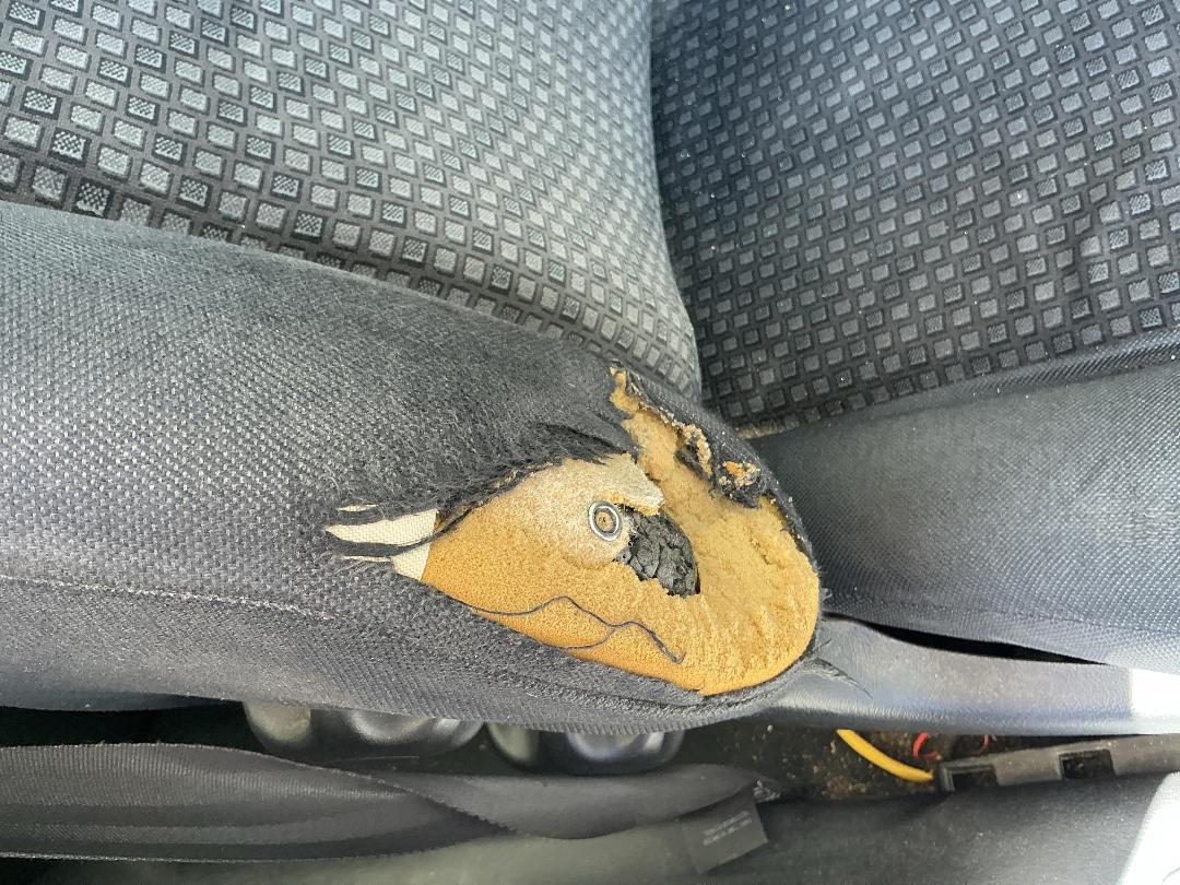 Photo '14' of Holden Commodore Exec