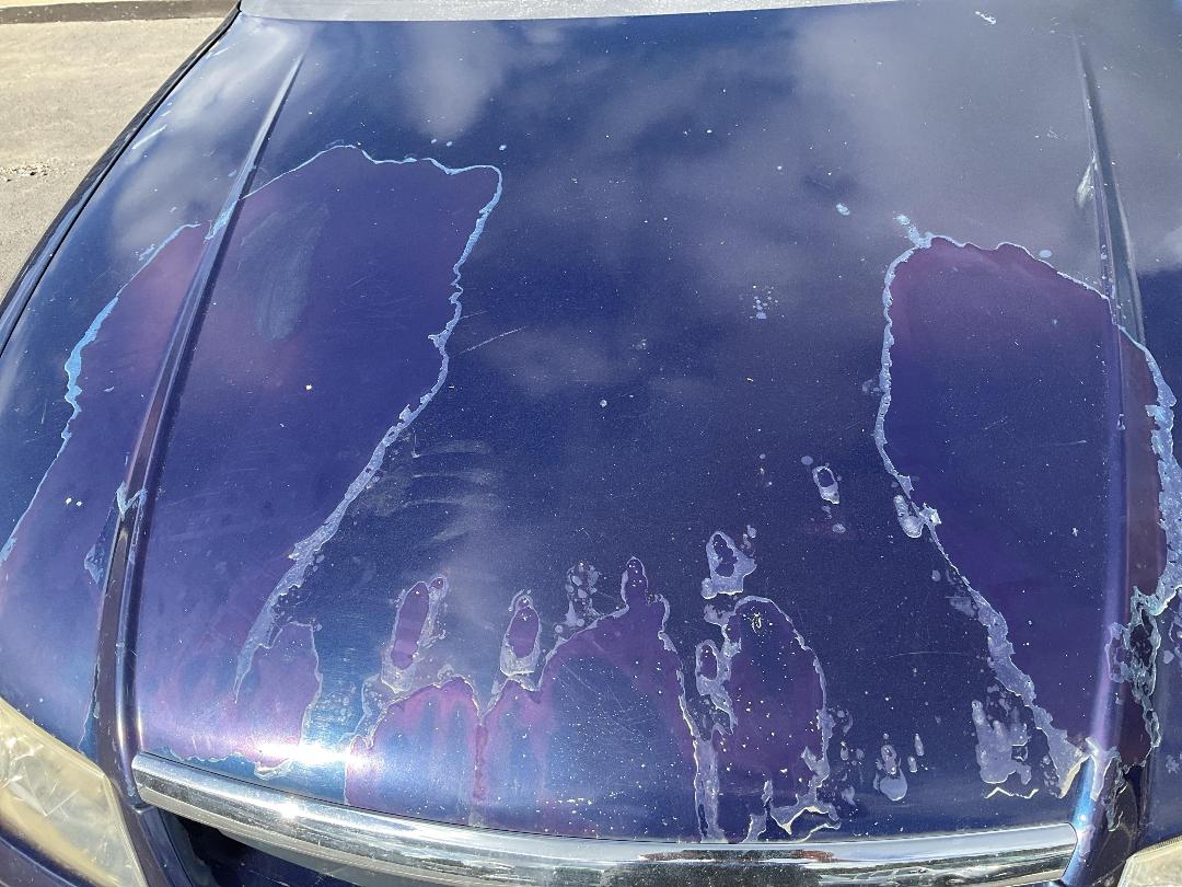 Photo '6' of Holden Commodore Acclaim Photo '6' of Holden Commodore Acclaim