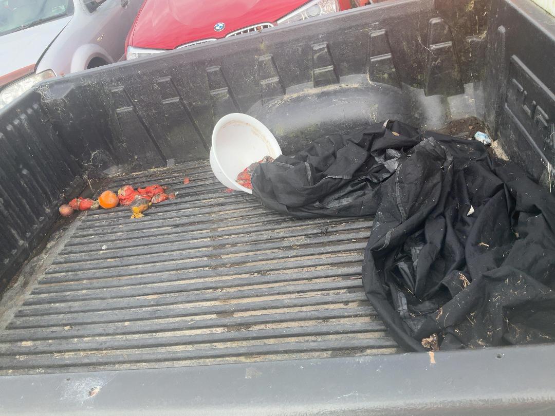 Photo '15' of Holden Rodeo 4X2 LX Space PU