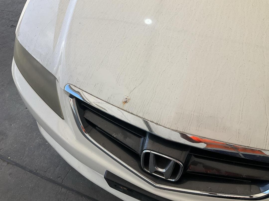 Photo '5' of Honda Accord Euro