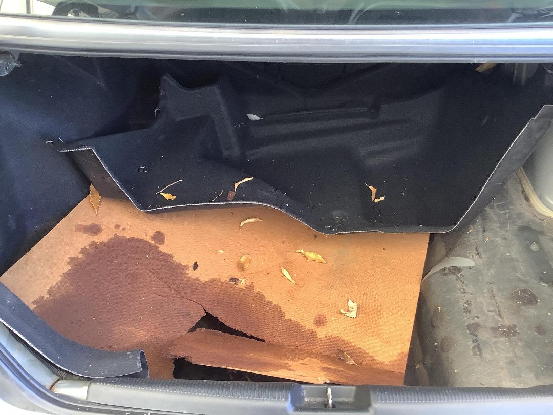 Photo '5' of Honda Civic Ferio Photo '5' of Honda Civic Ferio