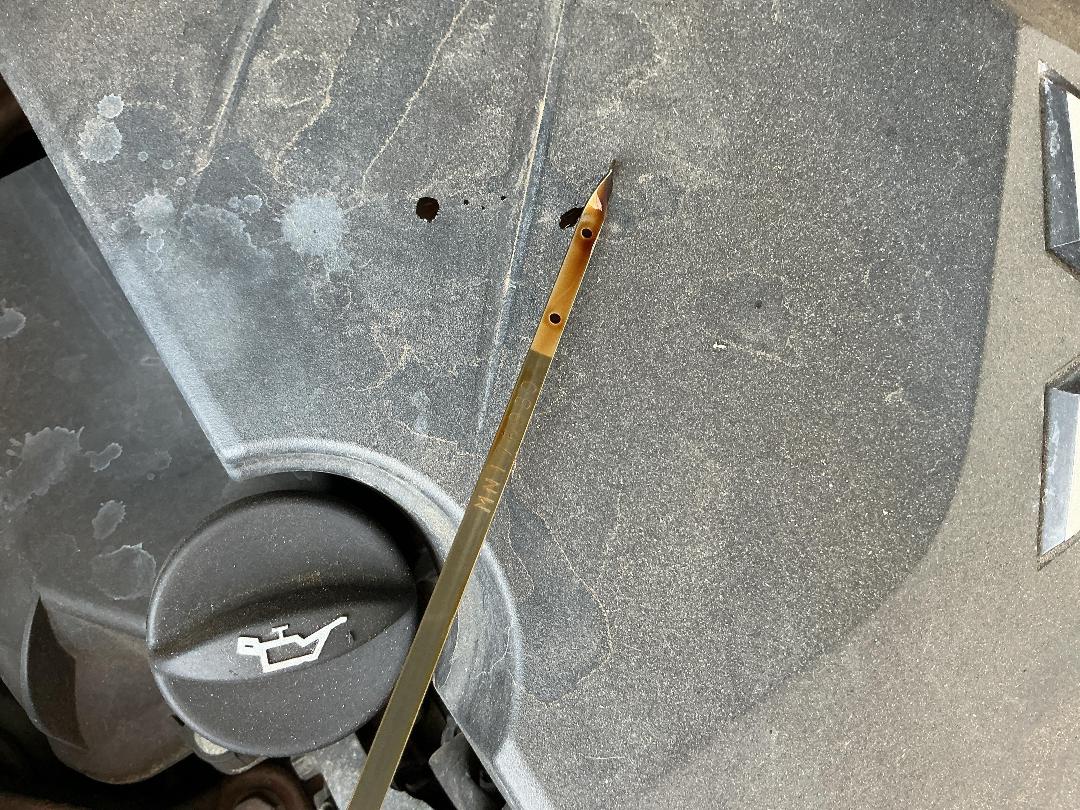 Photo '15' of Mitsubishi Colt