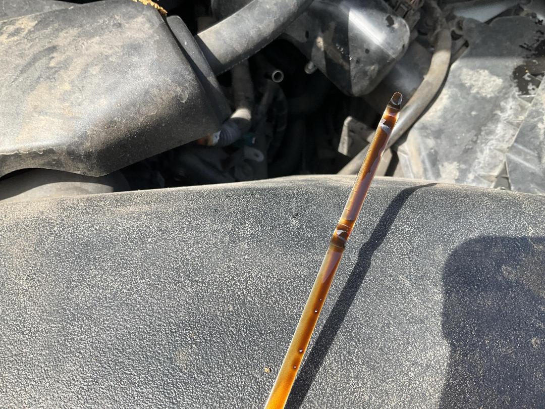 Photo '17' of Nissan Elgrand