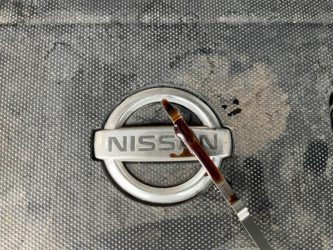 Photo '25' of Nissan Lafesta