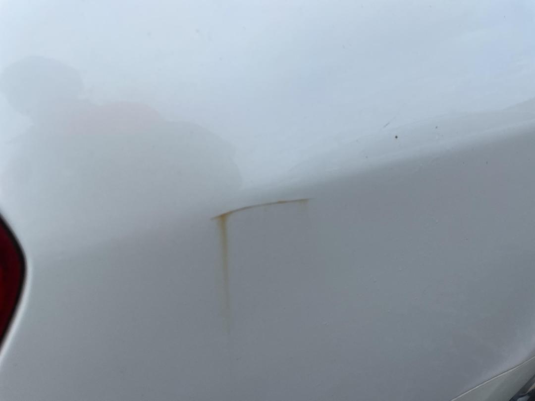 Photo '21' of Nissan Maxima SI