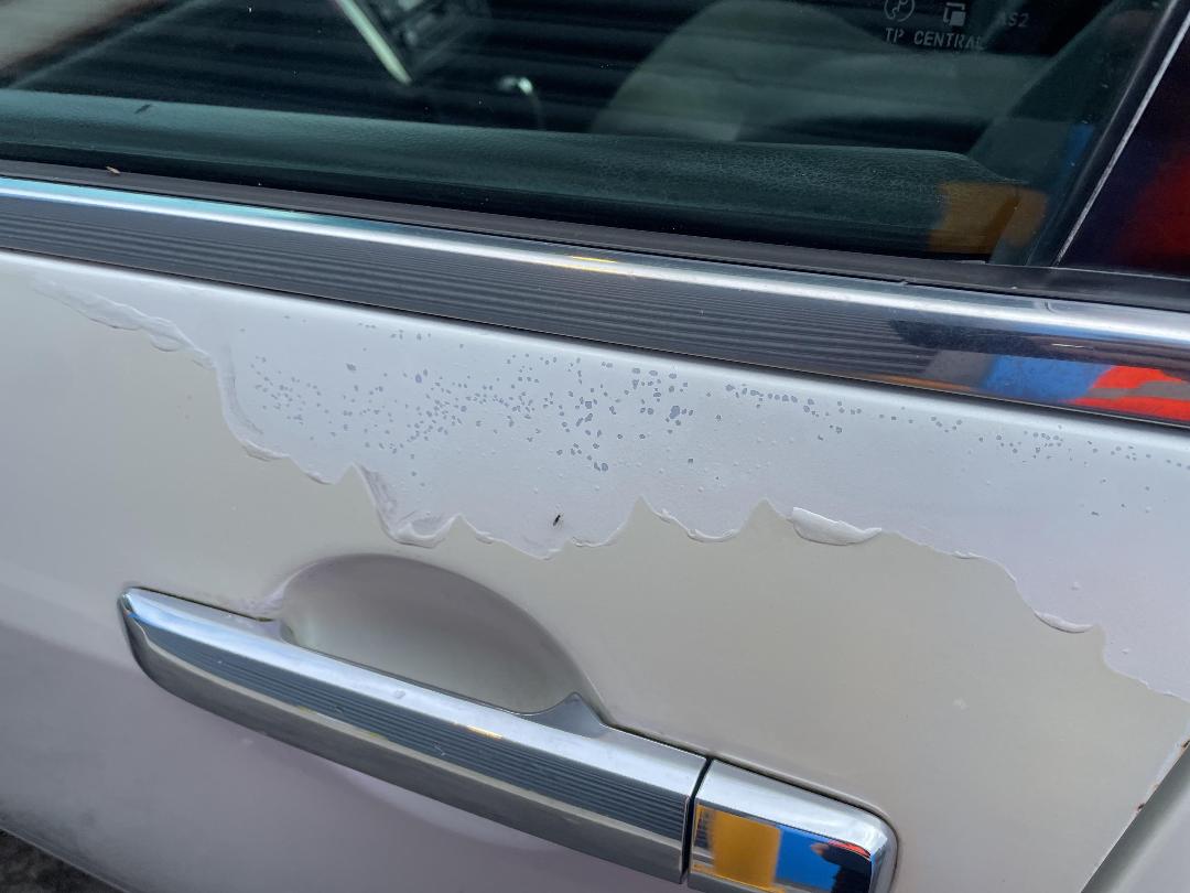 Photo '27' of Nissan Maxima SI