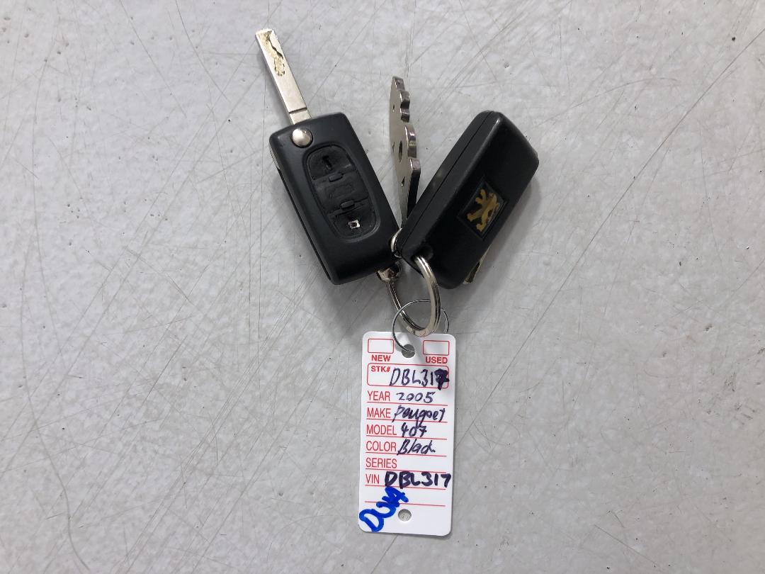 Photo '15' of Peugeot 407 HDI P