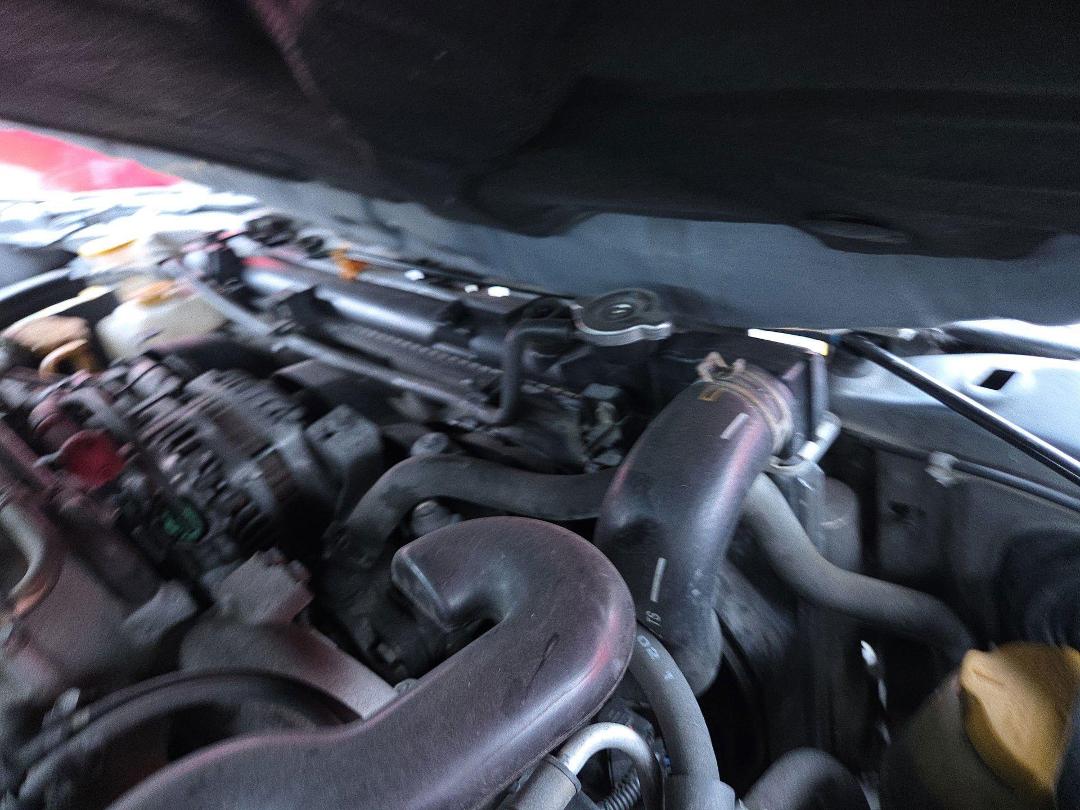 Photo '7' of Subaru Forester