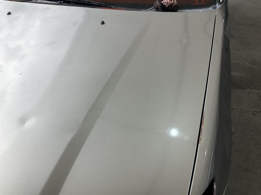 Photo '12' of Subaru Forester Photo '12' of Subaru Forester