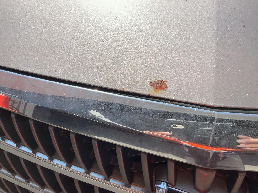 Photo '16' of Toyota Alphard