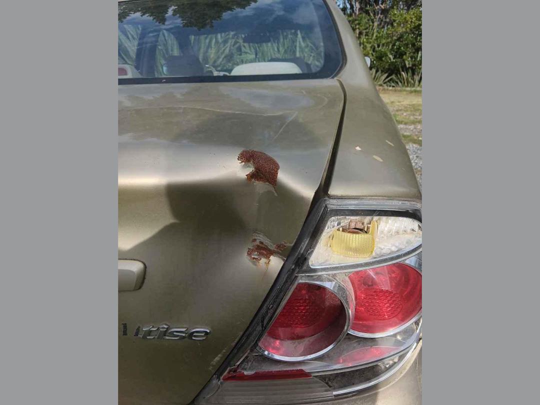 Photo '15' of Toyota Camry Altise