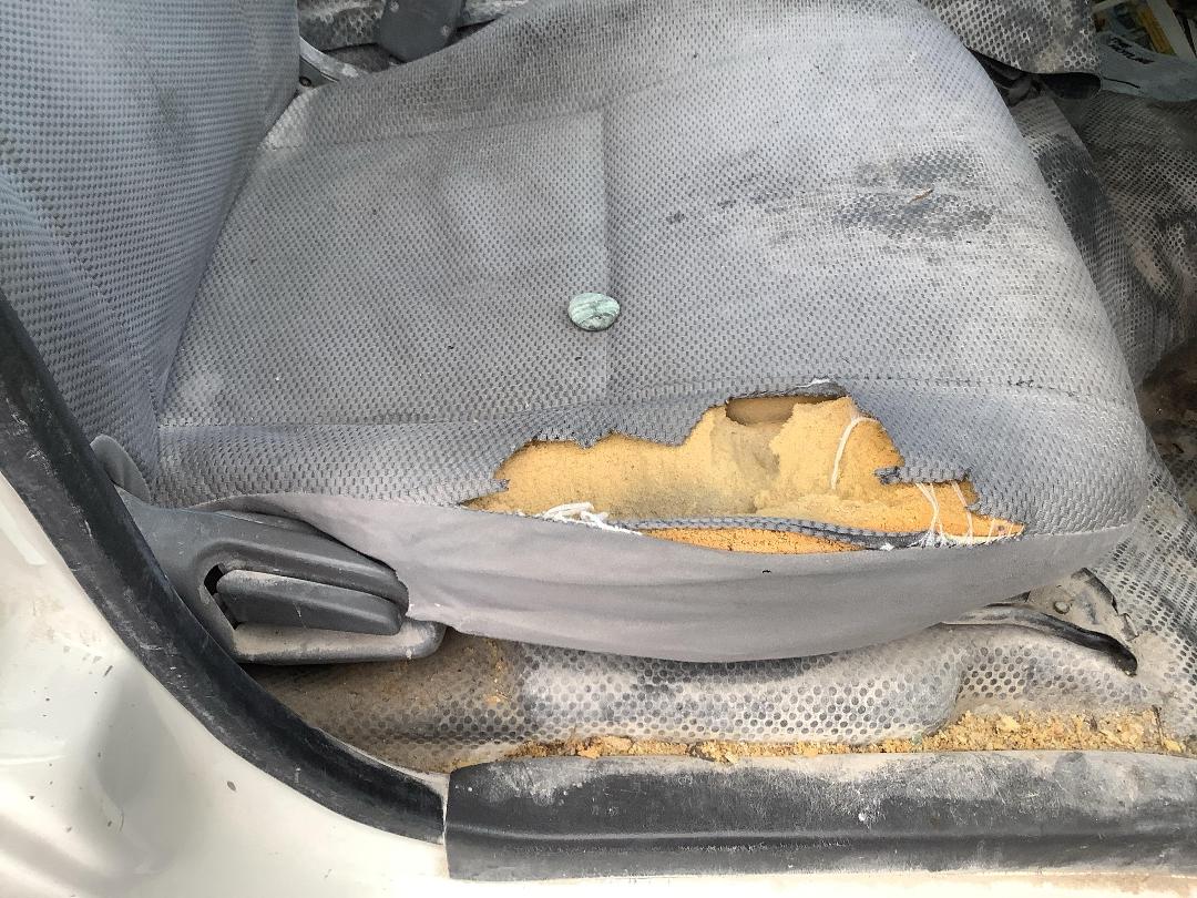 Photo '11' of Toyota Hiace