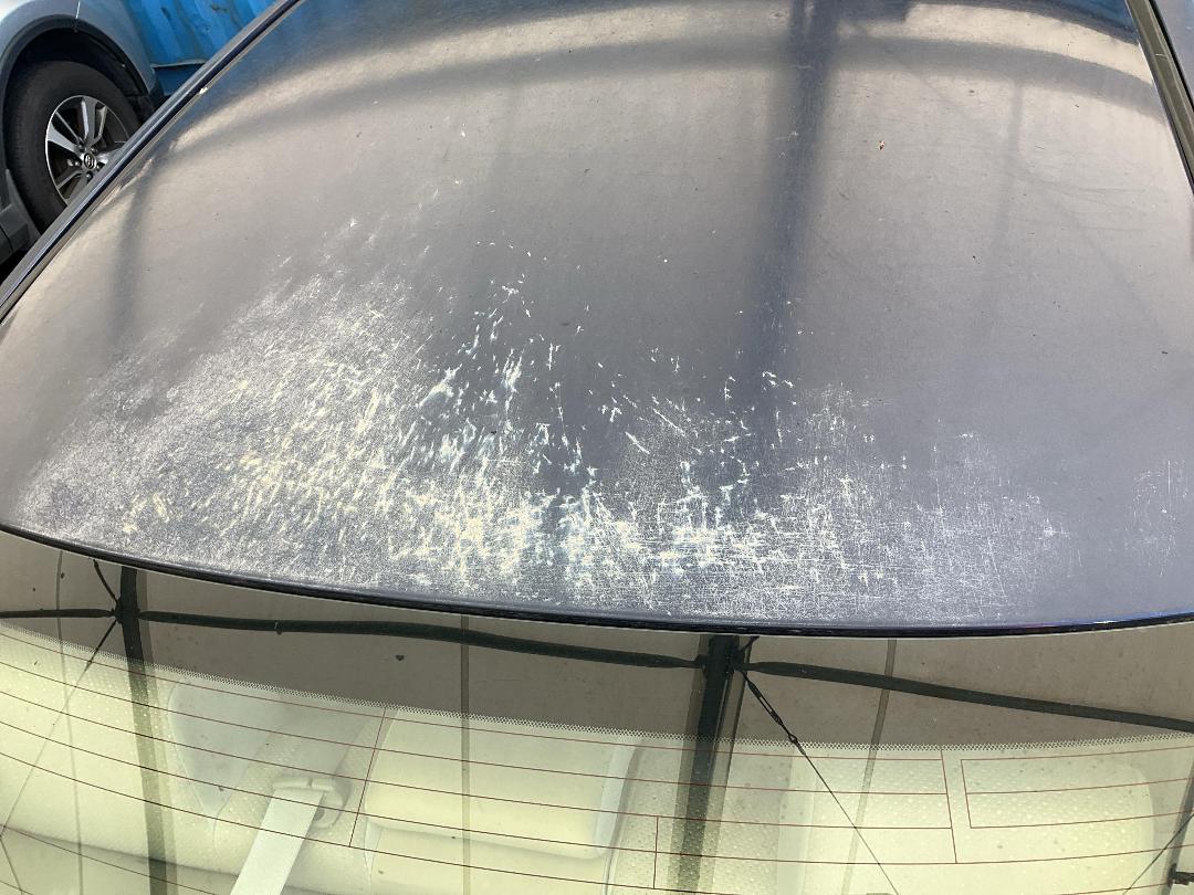 Photo '23' of Toyota Markx