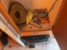 Thumbnail '24' of Bailey Ranger 460/4 Caravan - Single Thumbnail '24' of Bailey Ranger 460/4 Caravan - Single