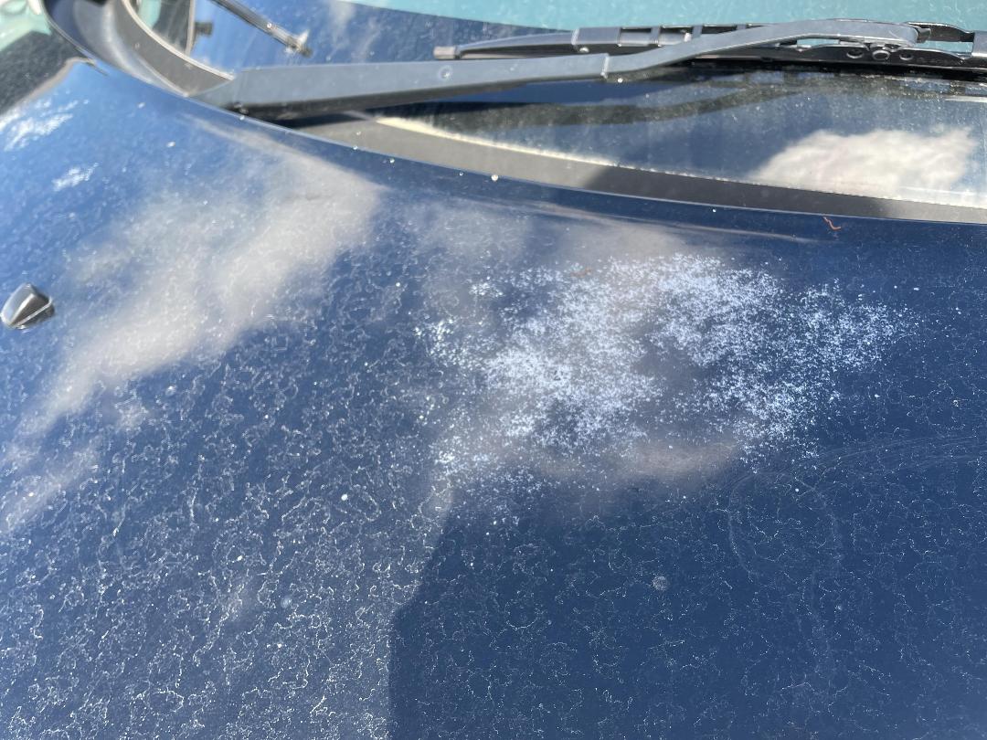 Photo '25' of Chrysler PT Cruiser Touring