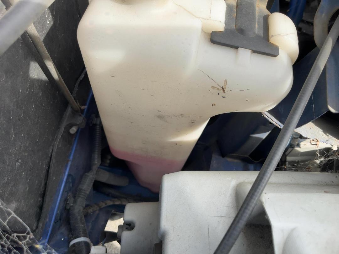 Photo '8' of Daihatsu Bego