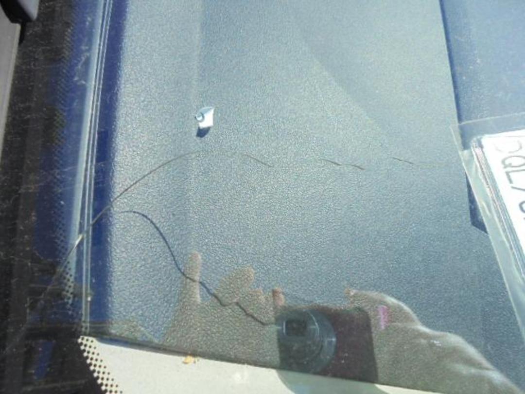 Photo '8' of Ford Focus