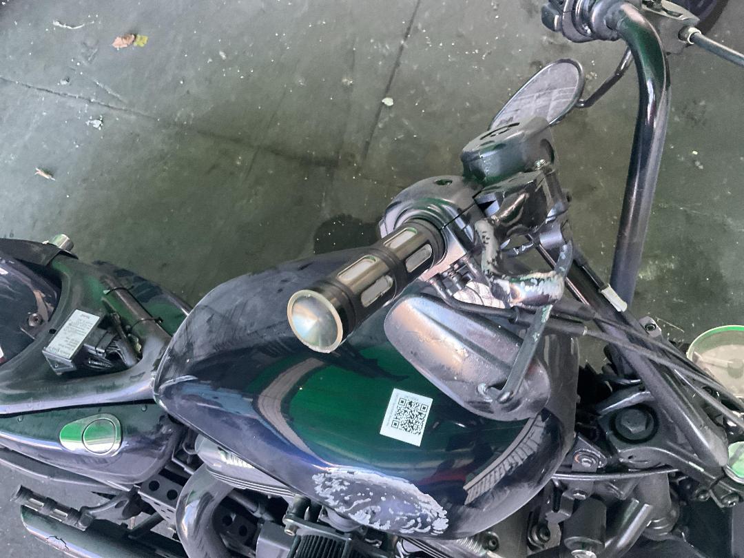 Photo '18' of Harley Davidson Sportster 06 Custom 1200