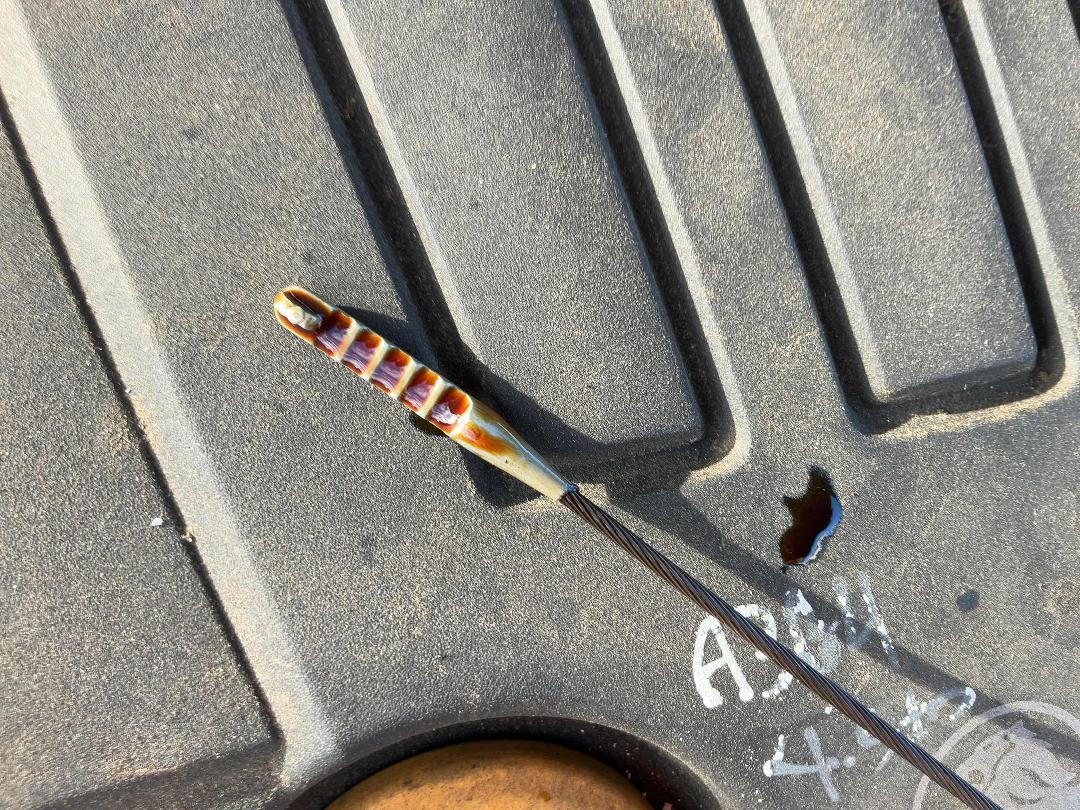 Photo '9' of Holden Astra CD