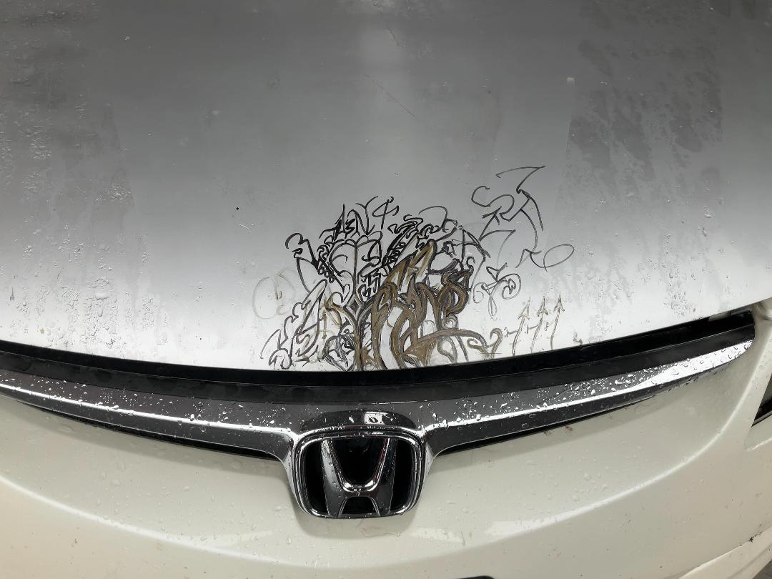 Photo '16' of Honda Civic