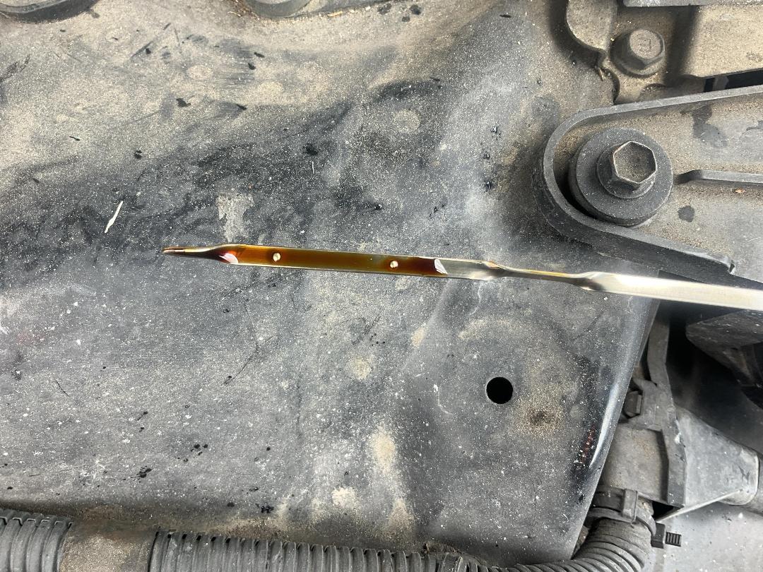 Photo '8' of Lexus GS300