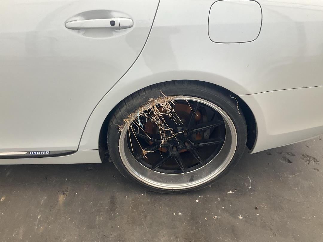 Photo '15' of Lexus GS350