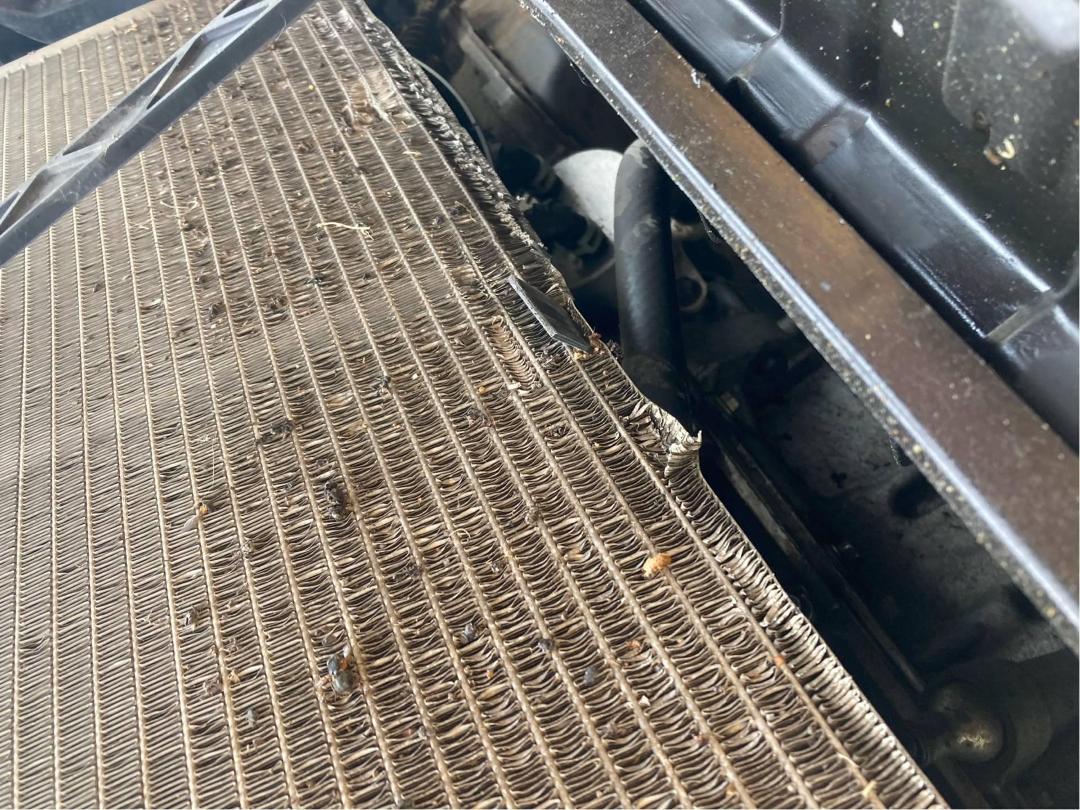 Photo '15' of Mazda Mazda3 GSX