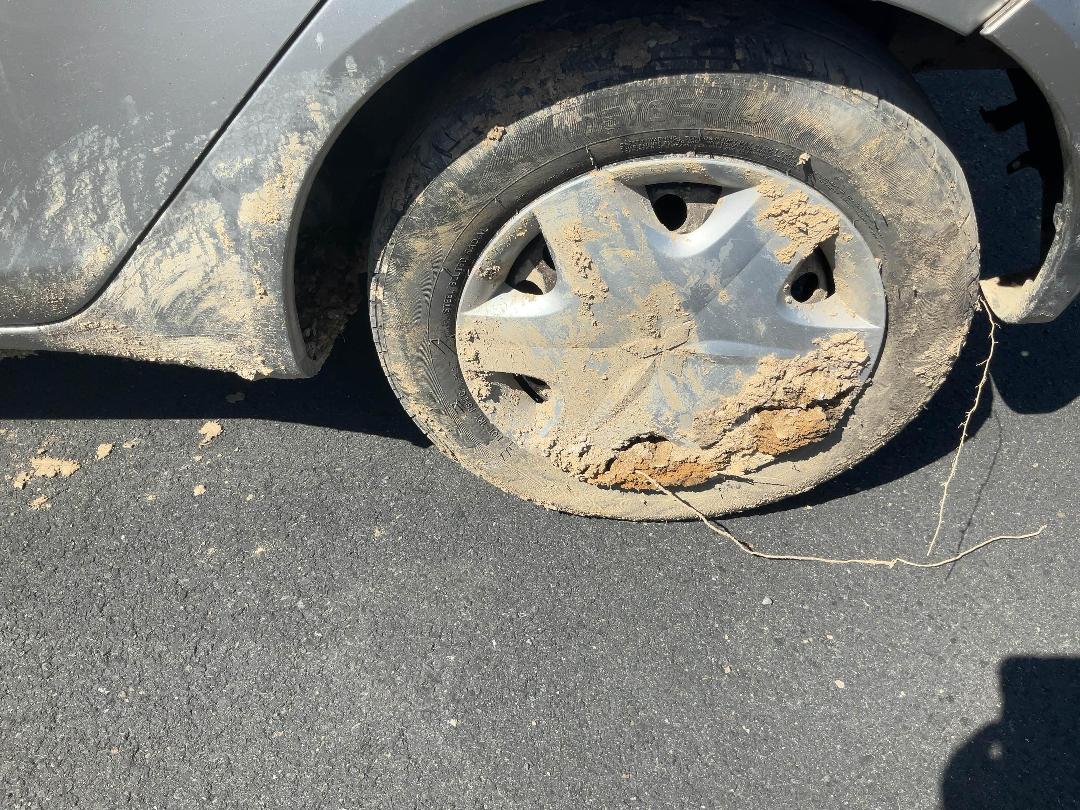 Photo '13' of Mitsubishi Colt Photo '13' of Mitsubishi Colt