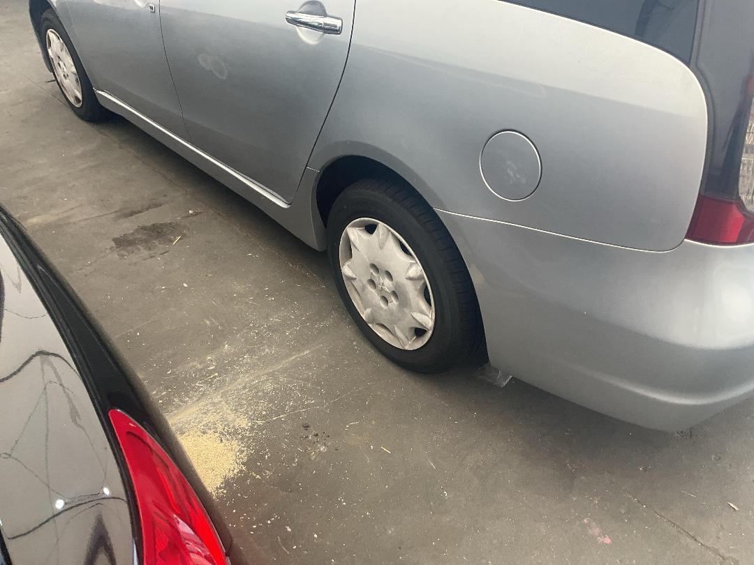 Photo '12' of Mitsubishi Grandis